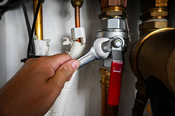 Best Toilet Repair Services  in Buckeye, AZ